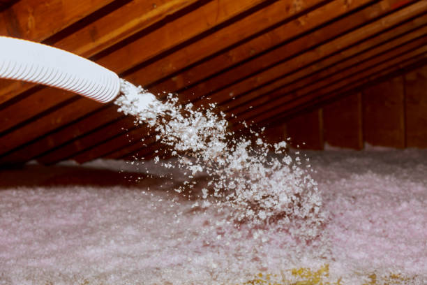  Holiday Shores, IL Insulation Contractor Pros