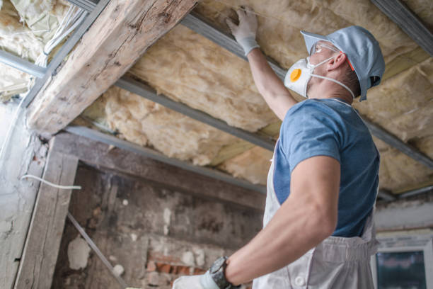 Best Insulation Materials and Products in Holiday Shores, IL