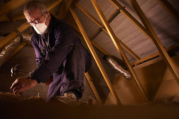 Best Insulation for Specific Applications in Holiday Shores, IL